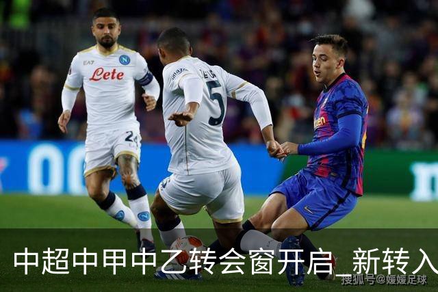中超中甲中乙转会窗开启 新转入国内球员没有名额限制