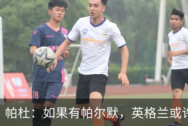 帕杜：如果有帕尔默，英格兰或许能破加纳防守